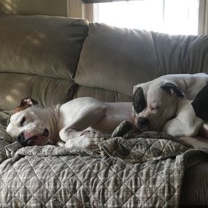 Meet your Posher, Mariah